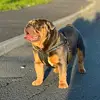 Cameron Meades - @cameron.meades - TikTok