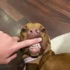 cameron - @cameron.meehan - TikTok