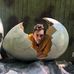Cameron Mefford - Facebook