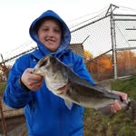 Cameron Mello - @c.m_fishing_ - Instagram