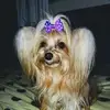 Cameron Mendez30 - @cameronmendez4 - TikTok