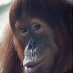Cameron Merrill - @slow_1000_ - Instagram