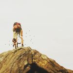 Cameron Middlemiss - @middlemisscameron - Instagram