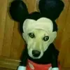 cameronmilburn06 - @cameronmilburn06 - TikTok
