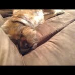 Cameron Milliron - Facebook