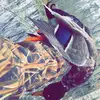 Cameron Mock - @cameron_mock24 - TikTok