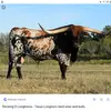 Cameron🐄🚜 - @cameronmoeller514 - TikTok