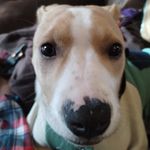 Cameron moen - @moen_cameron - Instagram