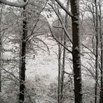 Cameron Moench - @moenchcameron - Instagram