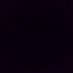Cameron Molnar - @mecameronmolnar - Instagram