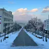 Cameron morey - @user128484902 - TikTok