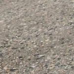 Cameron Moser - @cammozerr - Instagram