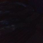 Cameron Mosley - @cameronmosley6 - Instagram