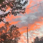 Cameron Mosley - @cameronmosley879 - Instagram