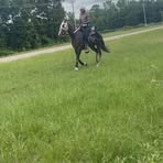 Cameron Moses - Facebook