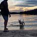 Cam Mott - Facebook