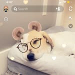 Cameron Mueller - @cameronmueller372 - Instagram
