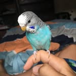 Cameron Mueller - @cameronmueller25 - Instagram