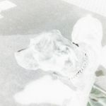 Cameron_munn - @migosboy323 - Instagram