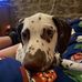 Cameron Murfitt - Facebook
