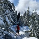 Cameron Napier - @skolekid - Instagram