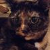 Cameron Nault - Facebook