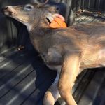 Cameron Nault - @cameronnault - Instagram