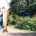 Cameron Nault - Facebook