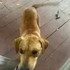 Cameron Neace - @cameron.neace - TikTok