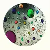 Cameron Neal - @user33743529 - TikTok
