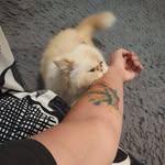 Cameron Needham - @camwise.of.the.coast - Instagram