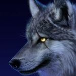 cameron - @cameron_nesbitt2703 - Instagram
