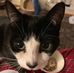 Cameron Nesbitt - Facebook