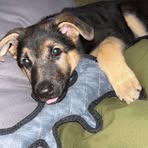 Cameron Newhook - Facebook