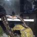 Cam Nitschke - Facebook