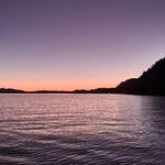 Cameron Ogle - @camwhk - Instagram