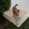 cameronolivieri76 - @cameronolivieri76 - TikTok