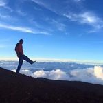 Cameron ONeal - @cam_oneal - Instagram