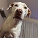 Cameron Ortega - Facebook