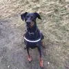 Cameron Norton - @cameron_norton101 - TikTok