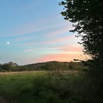 Cameron Orton - @cam.orton_3 - Instagram