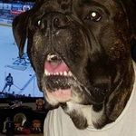 Cameron Oswald - @oswald.cameron - Instagram
