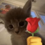 Eden Cameron - Facebook