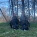 Cameron Parr - Facebook