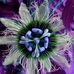 Cameron Parr - Facebook