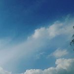 Cameron parsons - @cameronparsons0906 - Instagram