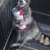 Cameron Parsons - @cameron.parsons59 - TikTok