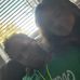 Cameron Paschal - Facebook