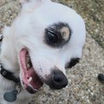 Cameron Pattenden - @cameronpattenden - Instagram