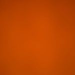 Cam Payton - @cameron.payton.98 - Instagram